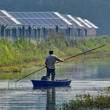 Large-scale solar array — clean energy growth Pakistan